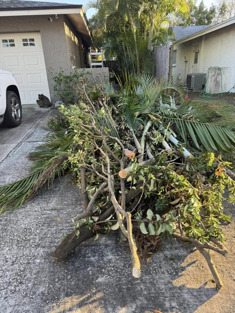Landscaping in St. Petersburg & Surrounding Areas