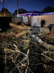 Landscaping in St. Petersburg & Surrounding Areas