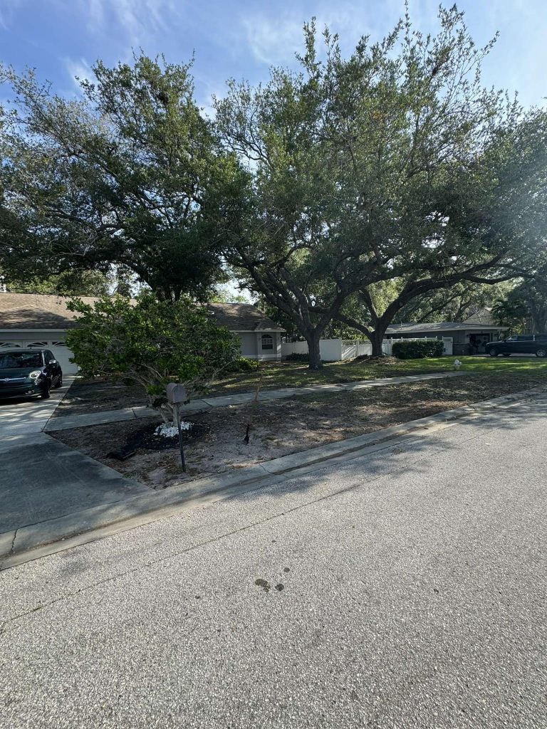 Landscaping in St. Petersburg & Surrounding Areas