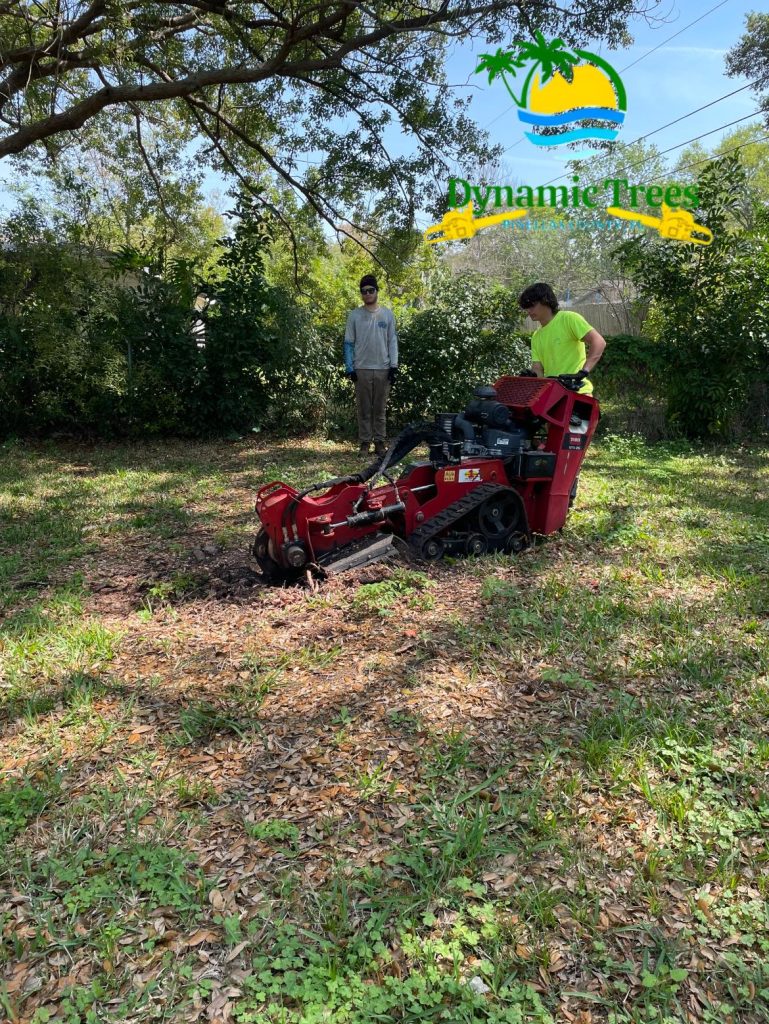 Landscaping in St. Petersburg & Surrounding Areas
