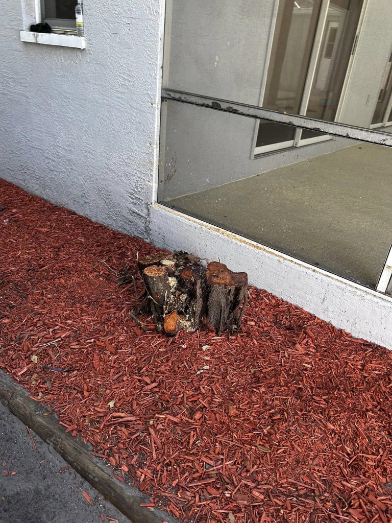 Landscaping in St. Petersburg & Surrounding Areas