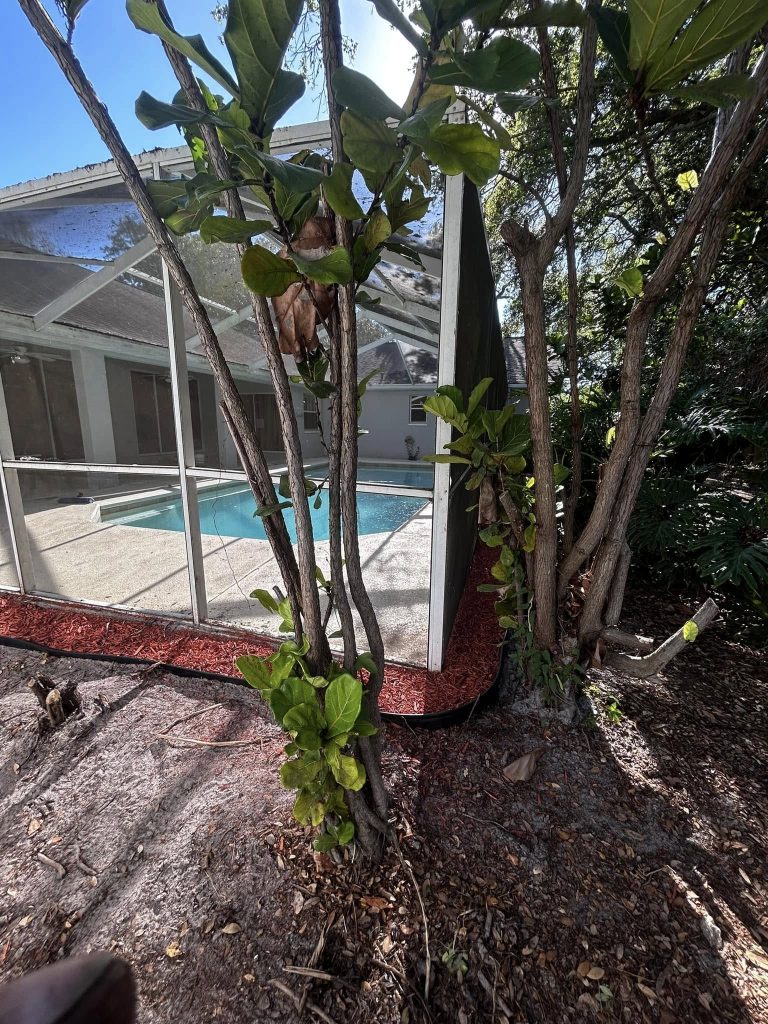 Landscaping in St. Petersburg & Surrounding Areas