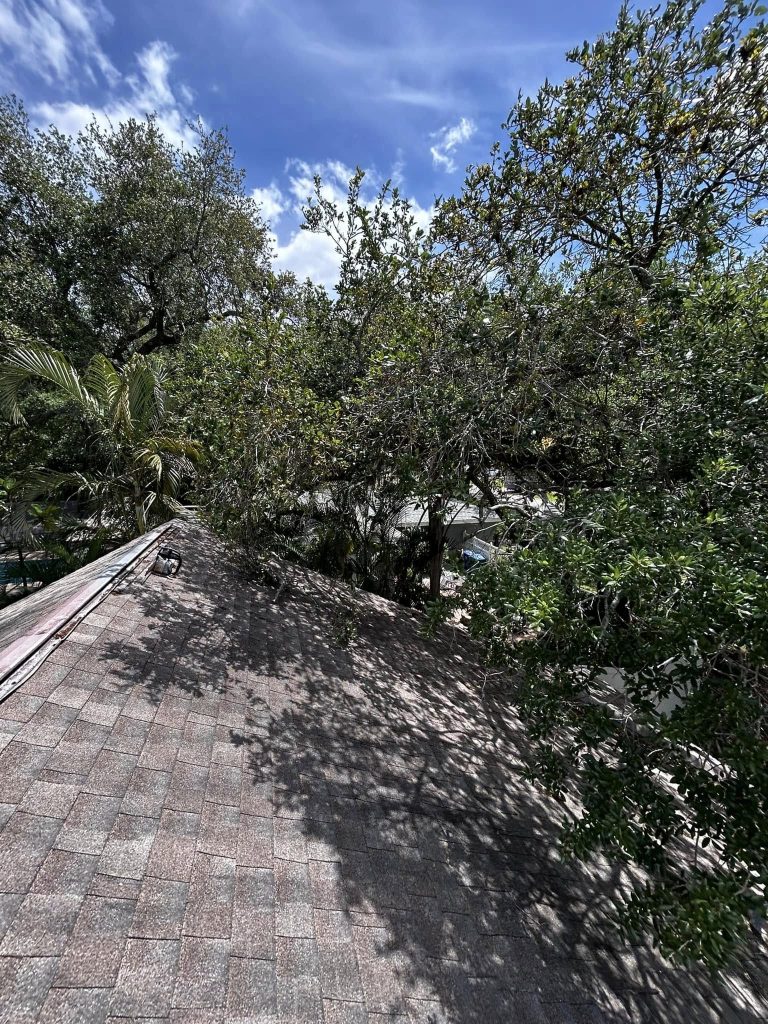 Landscaping in St. Petersburg & Surrounding Areas