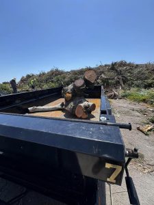Landscaping in St. Petersburg & Surrounding Areas