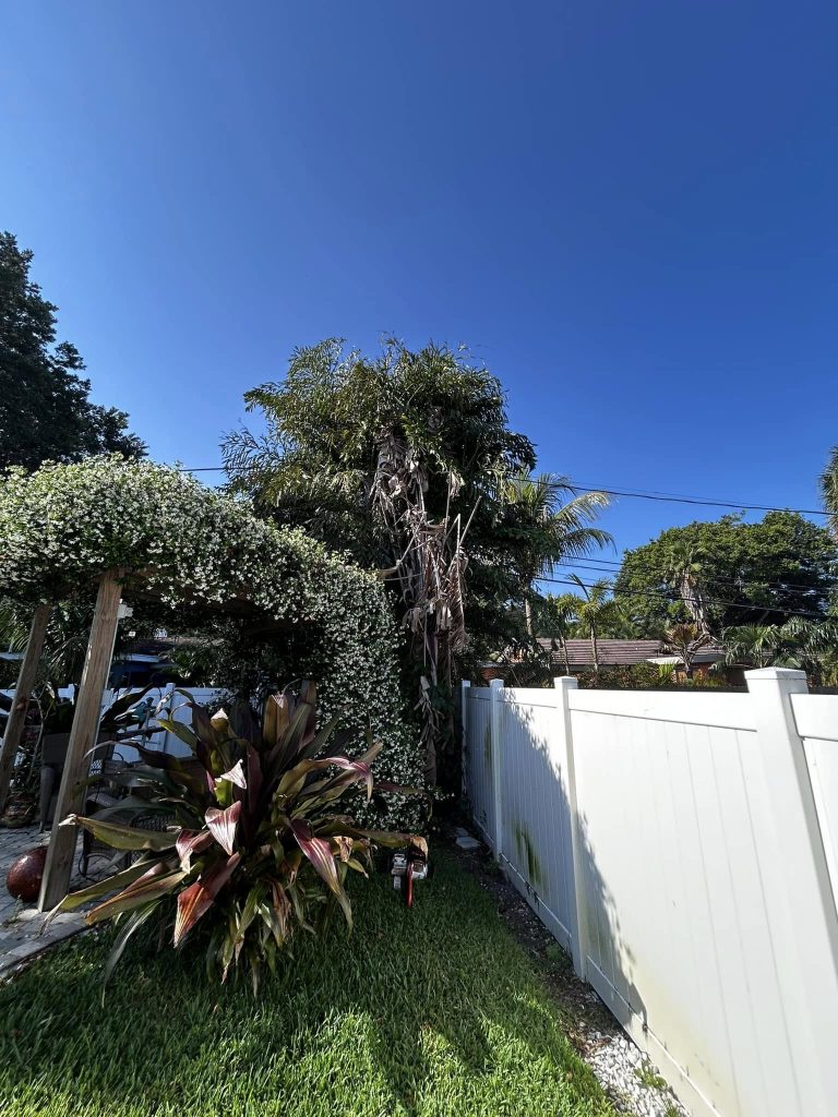 Landscaping in St. Petersburg & Surrounding Areas