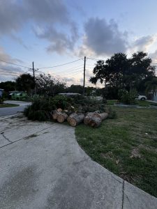 Landscaping in St. Petersburg & Surrounding Areas