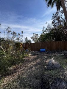 Landscaping in St. Petersburg & Surrounding Areas