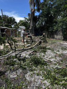 Landscaping in St. Petersburg & Surrounding Areas