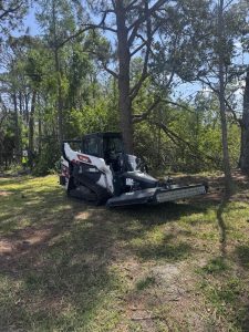 Landscaping in St. Petersburg & Surrounding Areas