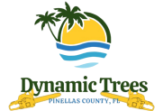 Dynamic Trees