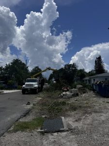 Landscaping in St. Petersburg & Surrounding Areas