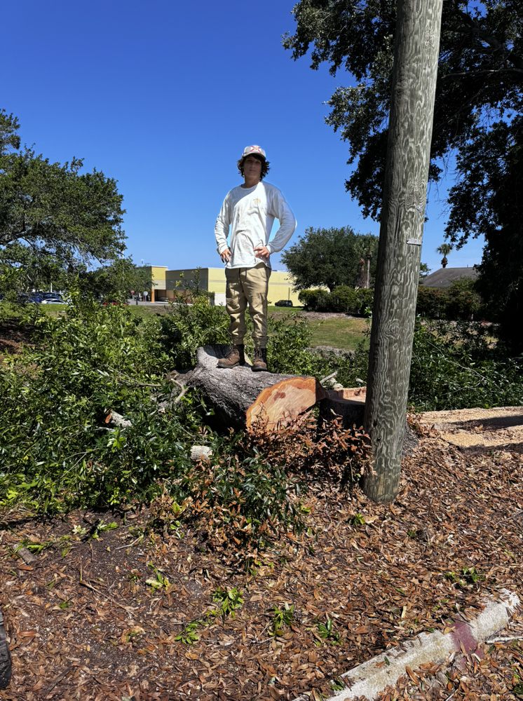 Landscaping in St. Petersburg & Surrounding Areas