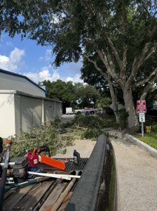 Landscaping in St. Petersburg & Surrounding Areas