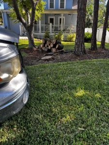 Landscaping in St. Petersburg & Surrounding Areas