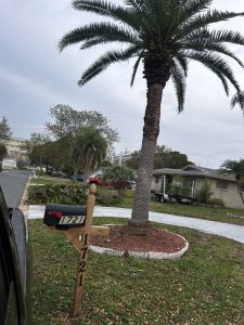 Landscaping in St. Petersburg & Surrounding Areas