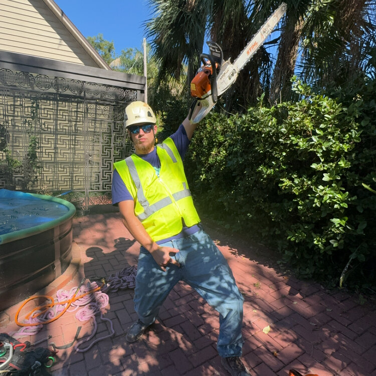 Tree Services in St. Petersburg, FL