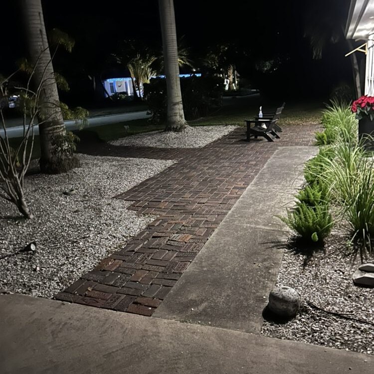 Tree Services in St. Petersburg, FL