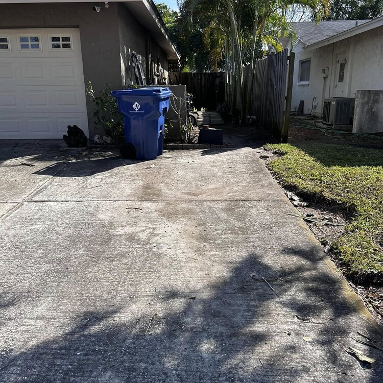Tree Services in St. Petersburg, FL