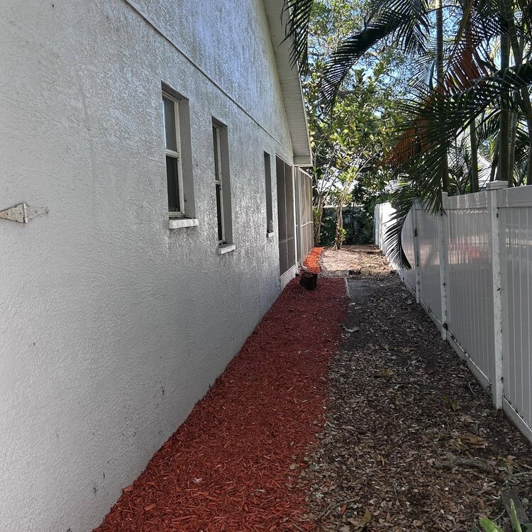 Tree Services in St. Petersburg, FL