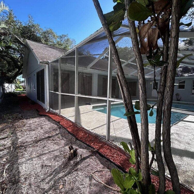 Tree Services in St. Petersburg, FL
