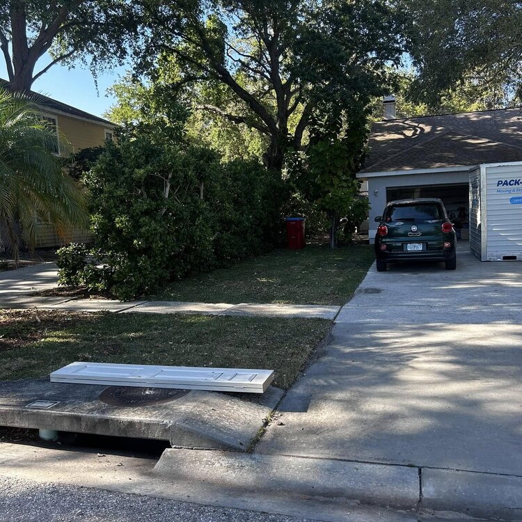 Tree Services in St. Petersburg, FL