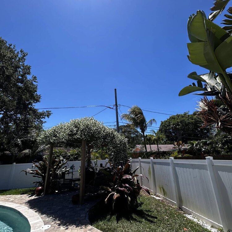Tree Services in St. Petersburg, FL