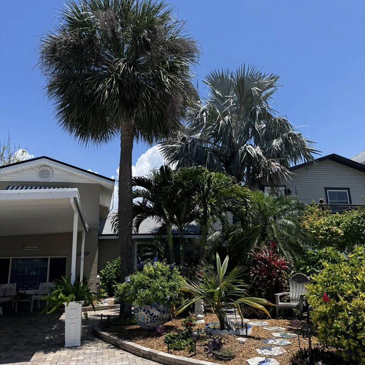 Tree Services in St. Petersburg, FL