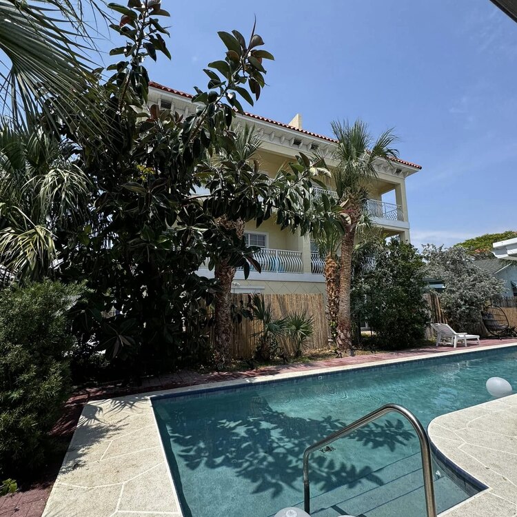 Tree Services in St. Petersburg, FL