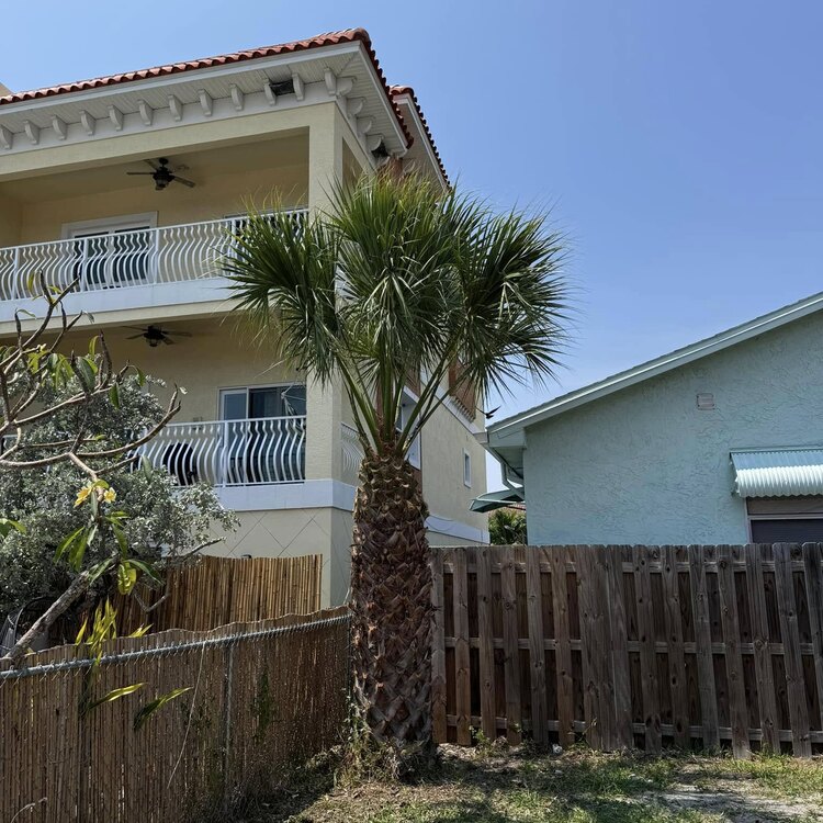 Tree Services in St. Petersburg, FL