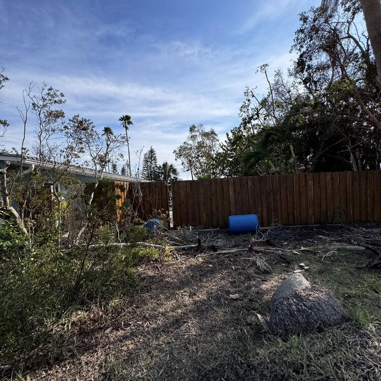 Tree Services in St. Petersburg, FL