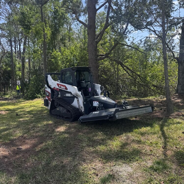 Tree Services in St. Petersburg, FL