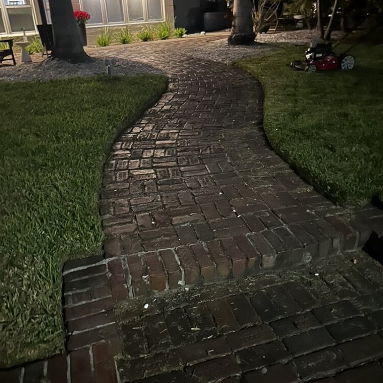 Tree Services in St. Petersburg, FL
